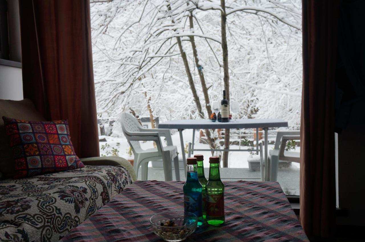 Woodland Paradise Gabala Exteriör bild